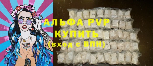 PSILOCYBIN Белокуриха